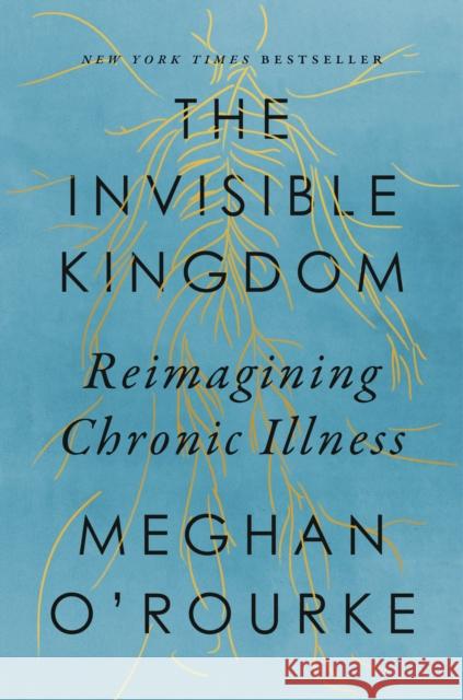 The Invisible Kingdom: Reimagining Chronic Illness O'Rourke, Meghan 9781594633799 Penguin Putnam Inc