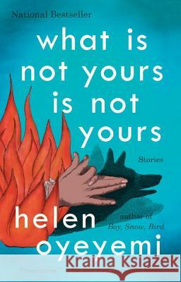 What Is Not Yours Is Not Yours Helen Oyeyemi 9781594634642 Riverhead Books