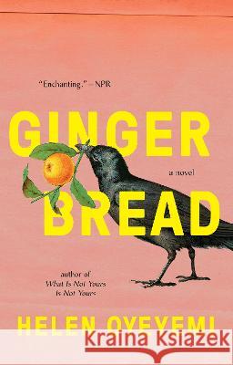 Gingerbread Helen Oyeyemi 9781594634666 Riverhead Books