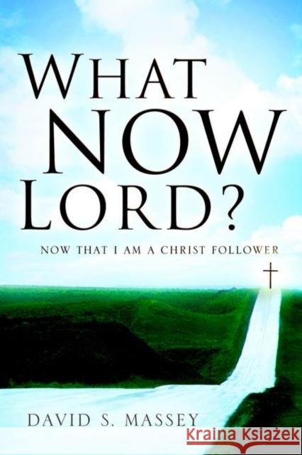 What Now Lord? David S Massey 9781594672224