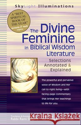 The Divine Feminine in Biblical Wisdom Literature: Selections Annotated & Explained Rami M. Shapiro 9781594731099