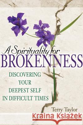 A Spirituality for Brokenness: Discovering Your Deepest Self in Difficult Times Terry Taylor 9781594732294 JEWISH LIGHTS PUBLISHING