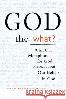 God the What?: What Our Metaphors for God Reveal about Our Beliefs in God Carolyn Bohler 9781594732515 Skylight Paths Publishing
