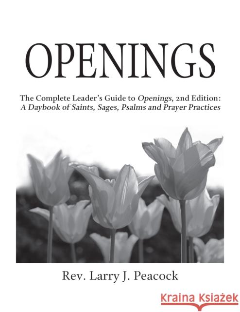 Openings Leader Guide 2/E Peacock 9781594735721 Skylight Paths Publishing
