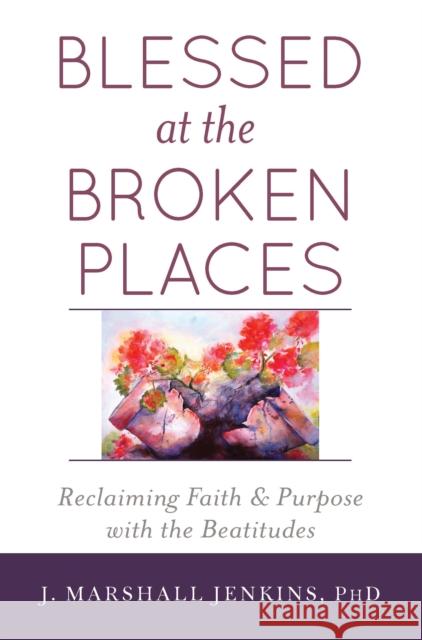 Blessed at the Broken Places: Reclaiming Faith and Purpose with the Beatitudes J. Marshall Jenkin 9781594736339