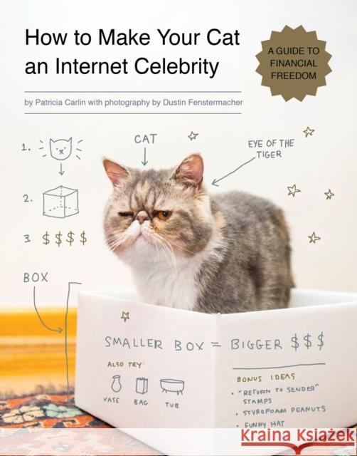 How to Make Your Cat an Internet Celebrity: A Guide to Financial Freedom Carlin, Patricia 9781594746796 Quirk Books