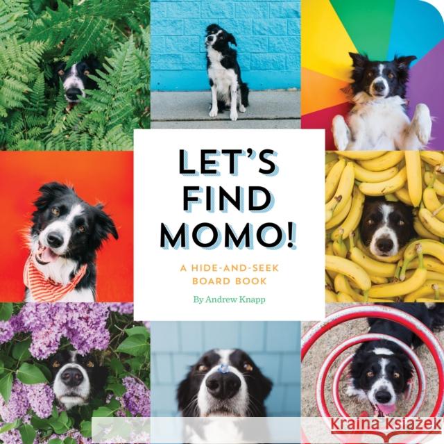 Let's Find Momo!: A Hide-And-Seek Board Book Knapp, Andrew 9781594749582 Quirk Books