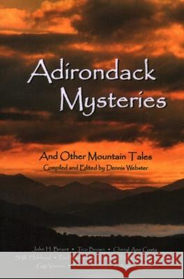 Adirondack Mysteries: And Other Mountain Tales Dennis Webster, Dennis Webster (Ghost Seekers of Central NY) 9781595310323