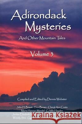 Adirondack Mysteries: And Other Mountain Tales Dennis Webster 9781595310552