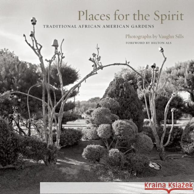 Places for the Spirit: Traditional African American Gardens Sills, Vaughn 9781595340641 Trinity University Press