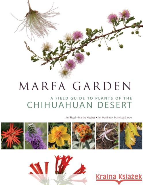 Marfa Garden: A Field Guide to Plants of the Chihuahuan Desert  9781595343161 Trinity University Press,U.S.