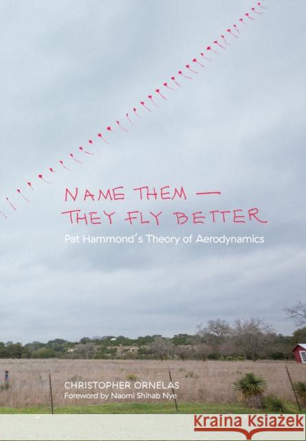 Name Them--They Fly Better: Pat Hammond's Theory of Aerodynamics Christopher Ornelas Naomi Shihab Nye Robert Hammond 9781595348197 Maverick Books