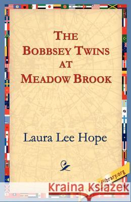 The Bobbsey Twins at Meadow Brook Laura Lee Hope 9781595401038 1st World Library