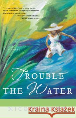 Trouble the Water Nicole Seitz 9781595544001 Thomas Nelson Publishers