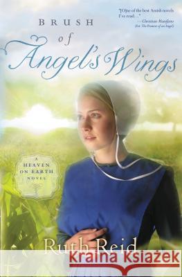 Brush of Angel's Wings Thomas Nelson Publishers 9781595547897 Thomas Nelson Publishers