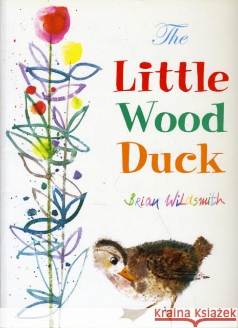 The Little Wood Duck Brian Wildsmith 9781595720498 Star Bright Books