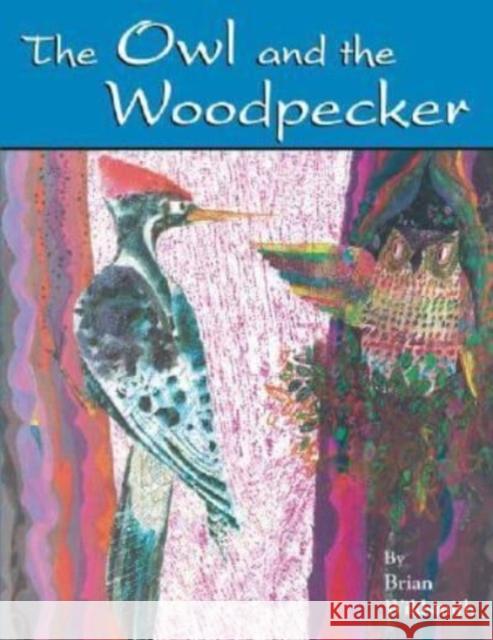 The Owl and the Woodpecker Brian Wildsmith Brian Wildsmith 9781595720504 Star Bright Books