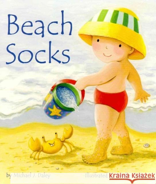 Beach Socks Michael J. Daley 9781595726377