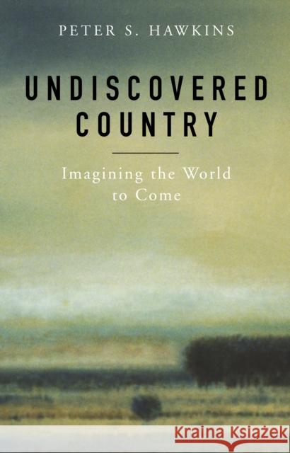 Undiscovered Country: Imagining the World to Come Peter S. Hawkins 9781596271074 Seabury Books