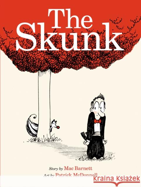 The Skunk: A Picture Book Mac Barnett Patrick McDonnell 9781596439665 Roaring Brook Press