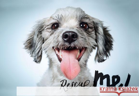 Rescue Me: Dog Adoption Portraits and Stories from New York City  9781597113380 Aperture