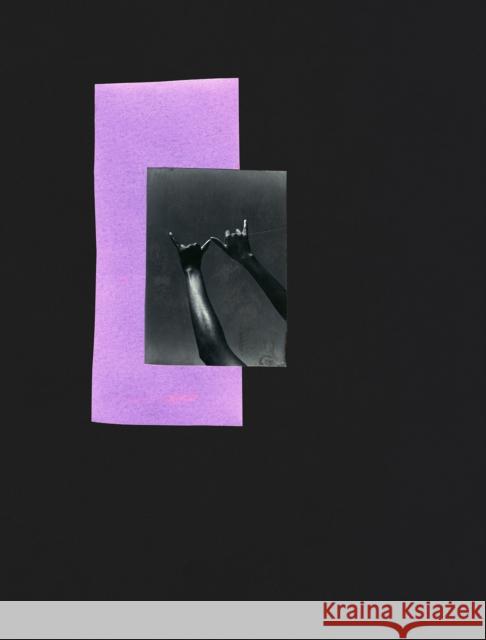 Dionne Lee: A Monograph Dionne Lee Gabrielle L'Hirondell Camille T. Dungy 9781597115988 Aperture