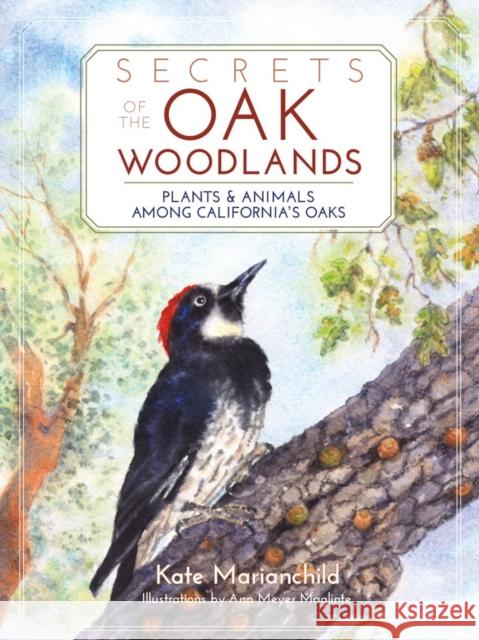 Secrets of the Oak Woodlands: Plants and Animals Among California's Oaks Marianchild, Kate 9781597142625 Heyday Books