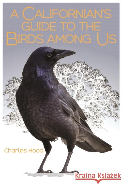 A Californian's Guide to the Birds Among Us Charles Hood 9781597143837 Heyday Books