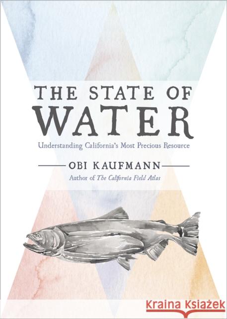 The State of Water: Understanding California's Most Precious Resource Obi Kaufmann 9781597144698 Heyday Books