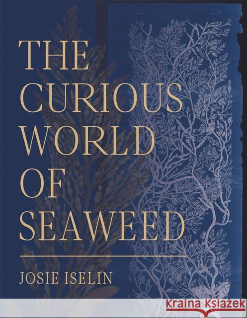 The Curious World of Seaweed Iselin, Josie 9781597144827