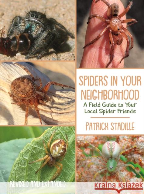 Spiders in Your Neighborhood: A Field Guide to Your Local Spider Friends, Revised and Expanded  9781597145770 Heyday Books
