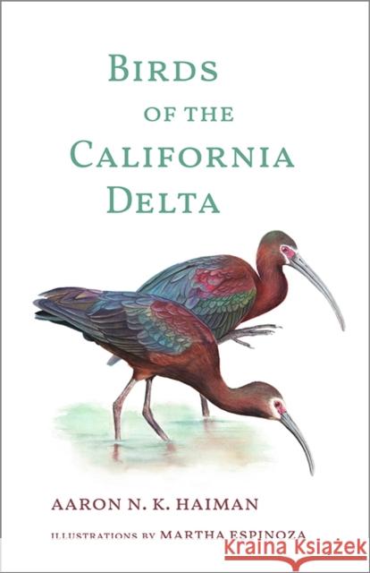 Birds of the California Delta Aaron N.K. Haiman 9781597146739