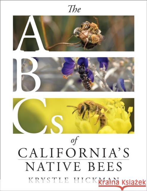 The ABCs of California's Native Bees Krystle Hickman 9781597146814 Heyday Books
