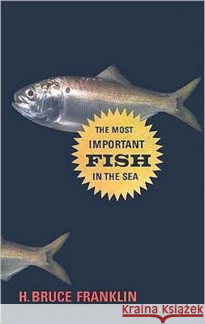 The Most Important Fish in the Sea: Menhaden and America Franklin, H. Bruce 9781597265072 Shearwater Books