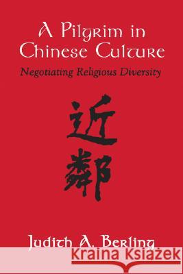 Pilgrim in Chinese Culture: Negotiating Religious Diversity Berling, Judith A. 9781597522359