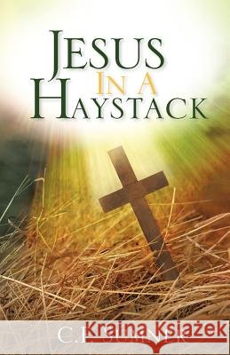 Jesus In A Haystack Sumner, C. F. 9781597814744