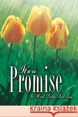 It's A Promise Shepherd, Elizabeth 9781597816229
