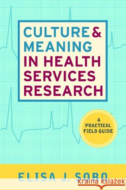 Culture and Meaning in Health Services Research: An Applied Approach Sobo, Elisa J. 9781598741377 LEFT COAST PRESS INC