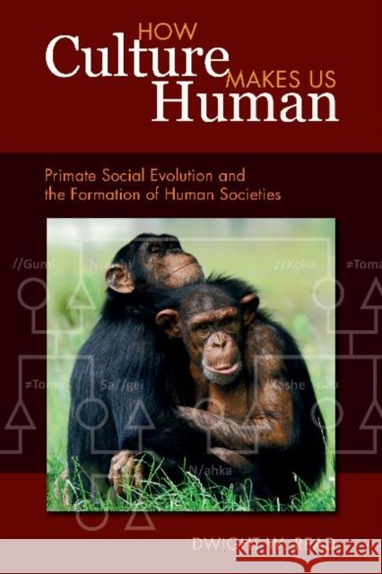 How Culture Makes Us Human: Primate Social Evolution and the Formation of Human Societies Read, Dwight W. 9781598745894 Left Coast Press