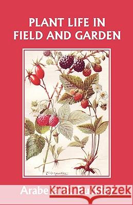Plant Life in Field and Garden (Yesterday's Classics) Arabella Buckley 9781599152738 Yesterday's Classics