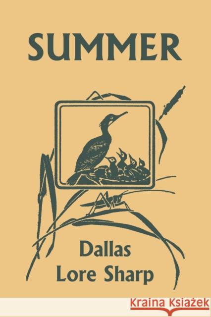 Summer (Yesterday's Classics) Dallas Lore Sharp, Robert Bruce Horsfall 9781599154985 Yesterday's Classics