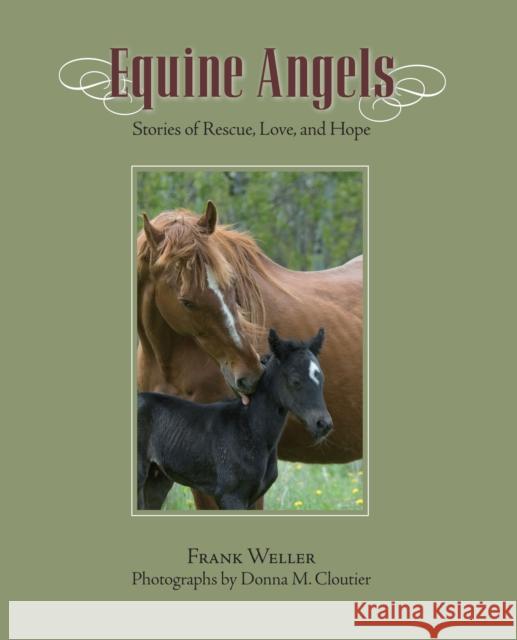 Equine Angels: Stories of Rescue, Love, and Hope Frank Weller Donna M. Cloutier 9781599214443 Lyons Press