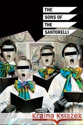 The Sons of the Santorelli Tony Taddei 9781599541754 Bordighera Press