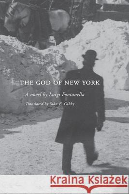 The God of New York Luigi Fontanella Si 9781599541778