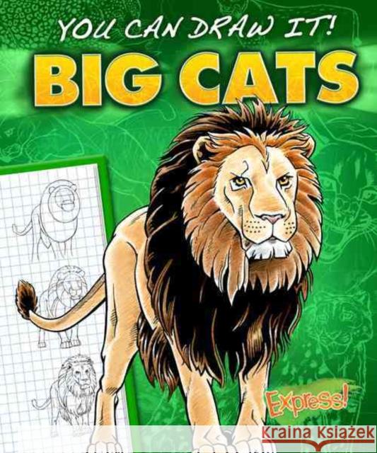 Big Cats Jon Eppard 9781600148095 Pilot