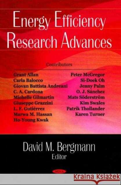 Energy Efficiency Research Advances David M Bergmann 9781600218804 Nova Science Publishers Inc