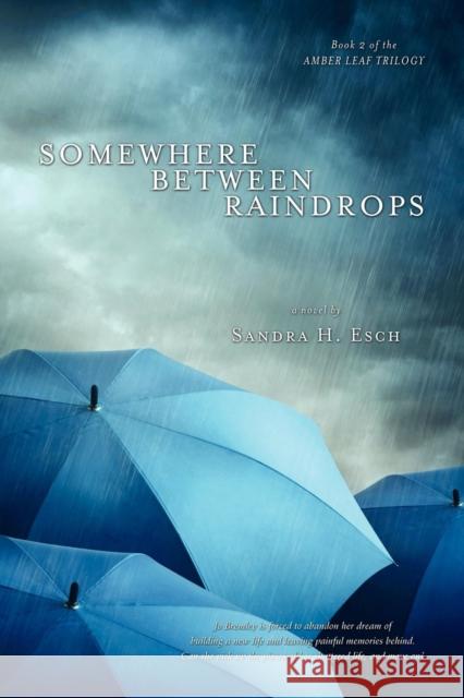 Somewhere Between Raindrops Sandra H. Esch 9781600392009 Lamp Post Inc.