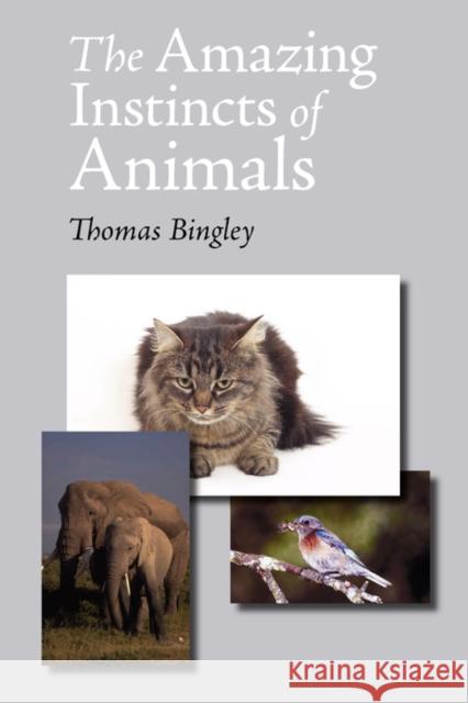 The Amazing Instincts of Animals Thomas Bingley 9781600968877 WAKING LION PRESS