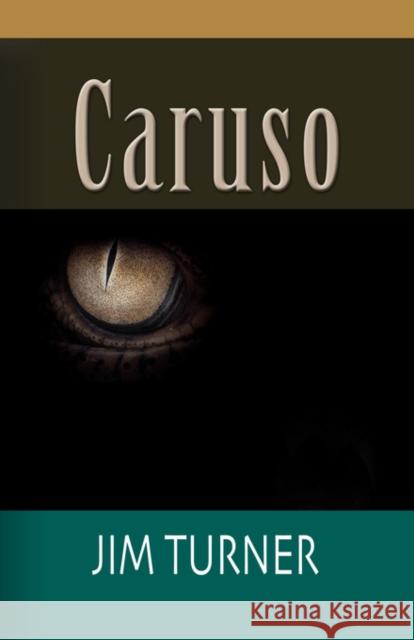 Caruso Jim Turner 9781601453723 Booklocker.com