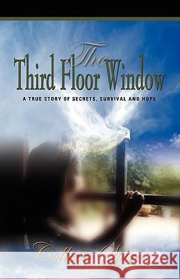 The Third Floor Window: A True Story of Secrets, Survival and Hope Spiro, Colleen 9781601455741 Booklocker.com